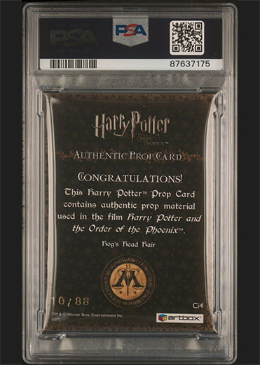 Ci4 - Hog's Head Hair - Back