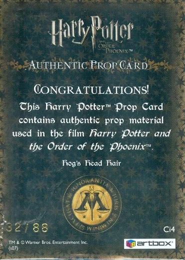 Ci4 - Hog's Head Hair - Back