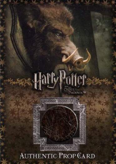 Ci4 - Hog's Head Hair - Front