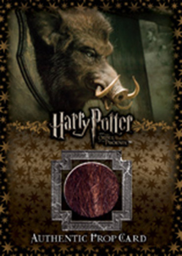 Ci4 - Hog's Head Hair - Front