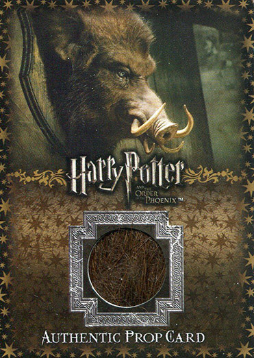 Ci4 - Hog's Head Hair - Front