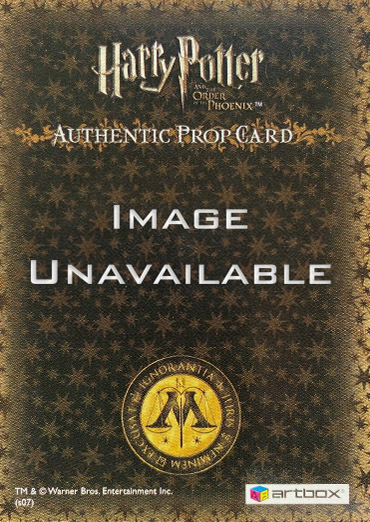 P11 - Dolores Umbridge's Office Curtains - Back