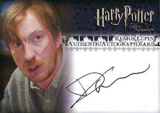 David Thewlis as Remus Lupin