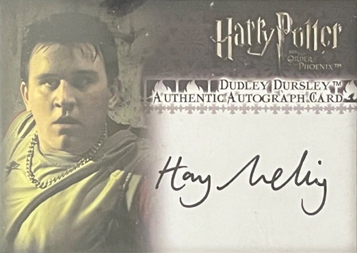 Harry Melling as Dudley Dursley - Front