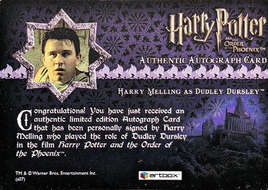 Harry Melling as Dudley Dursley - Back