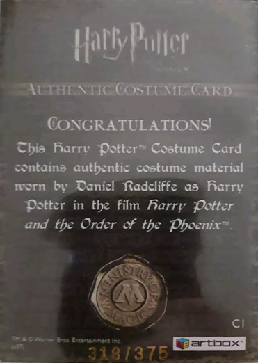 C1 - Harry Potter's Blue Hooded Shirt - Back