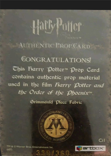 Ci1 - Grimmauld Place Fabric - Back