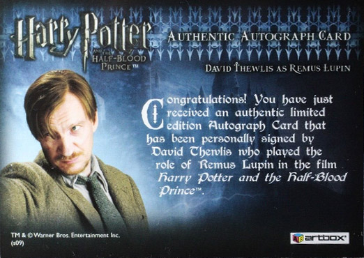 David Thewlis as Remus Lupin - Back