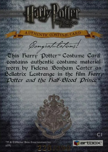 C1 - Bekatrix Lestarange's Costume - Back