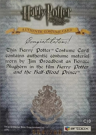 C10 - Horace Slughorn's Long Tie - Back