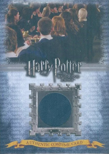 C11 - Ravenclaw Students School Robes