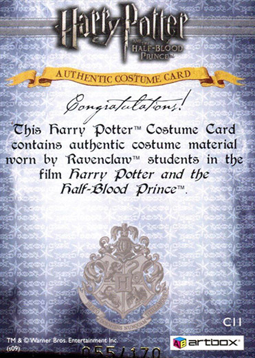 C11 - Ravenclaw Students School Robes - Back
