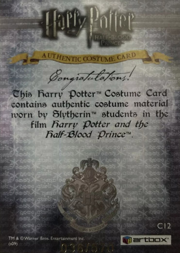 C12 - Slytherin Students School Robes - Back