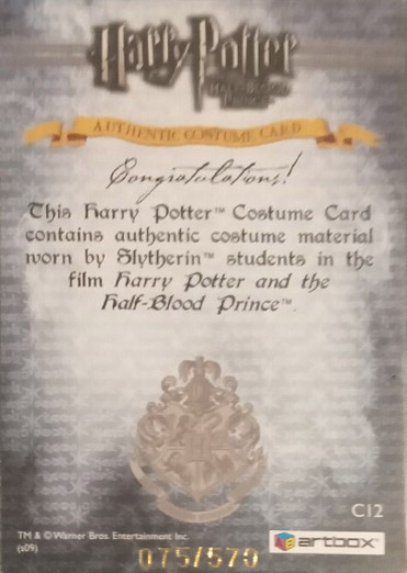 C12 - Slytherin Students School Robes - Back