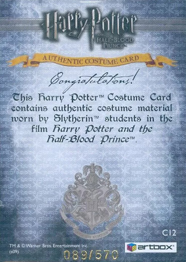 C12 - Slytherin Students School Robes - Back