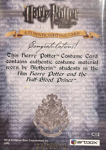 C12 - Slytherin Students School Robes - Back