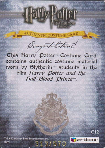 C12 - Slytherin Students School Robes - Back