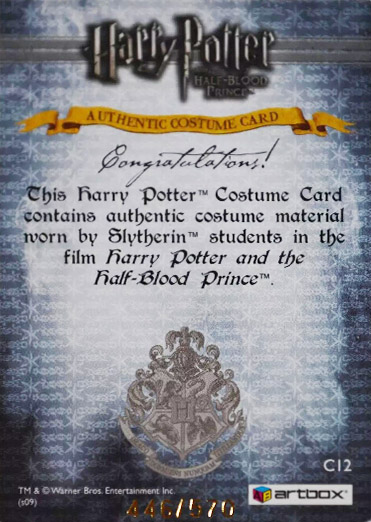 C12 - Slytherin Students School Robes - Back