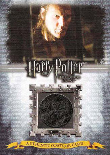 C13 - Fenrir Greyback Costume - Front