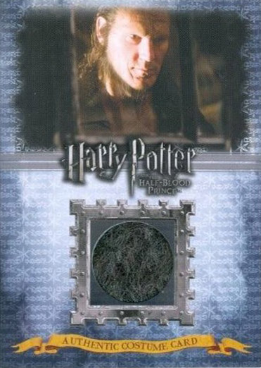 C13 - Fenrir Greyback Costume - Front