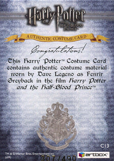 C13 - Fenrir Greyback Costume - Back