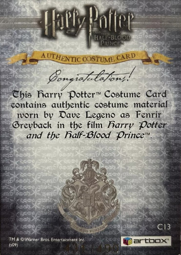 C13 - Fenrir Greyback Costume - Back