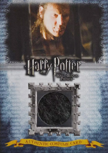 C13 - Fenrir Greyback Costume - Front