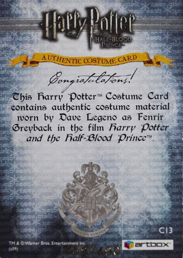 C13 - Fenrir Greyback Costume - Back