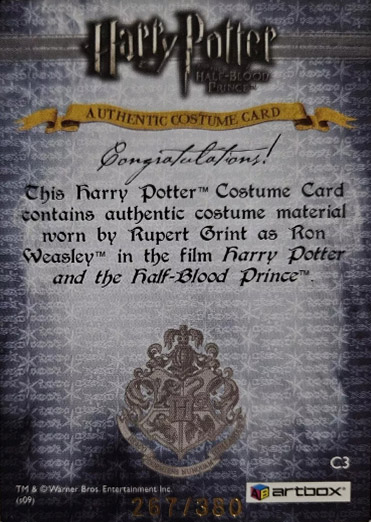 C3 - Ron Weasley's Quidditch Costume - Back