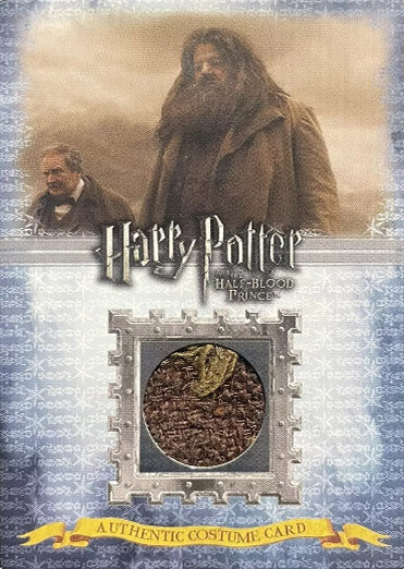 C4 - Rubeus Hagrid's Costume