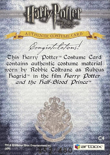 C4 - Rubeus Hagrid's Costume - Back