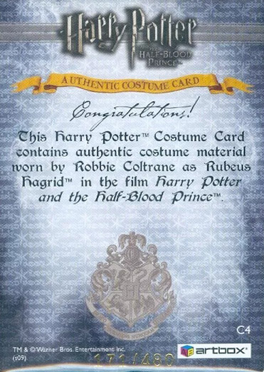 C4 - Rubeus Hagrid's Costume - Back