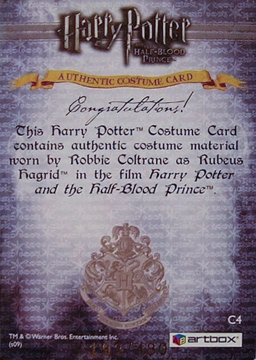 C4 - Rubeus Hagrid's Costume - Back