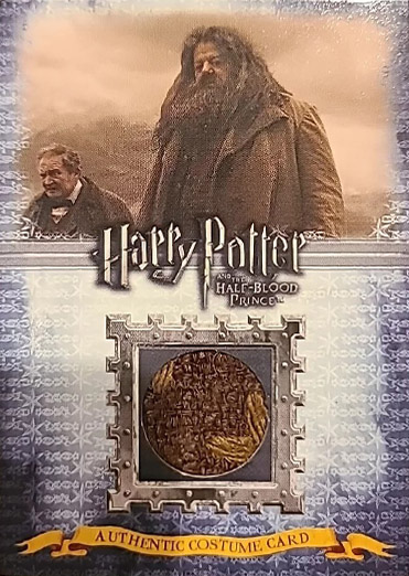 C4 - Rubeus Hagrid's Costume - Front