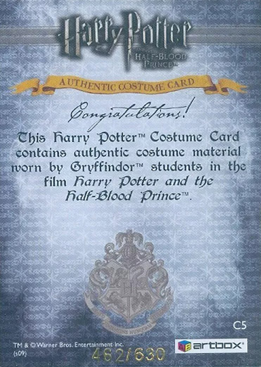 C5 - Gryffindor Students Quidditch Costume - Back