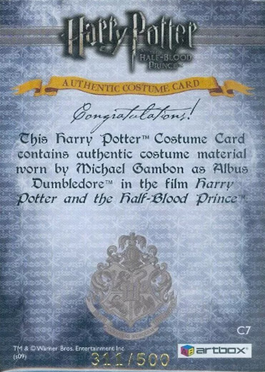 C7 - Albus Dumbledore's Robes - Back