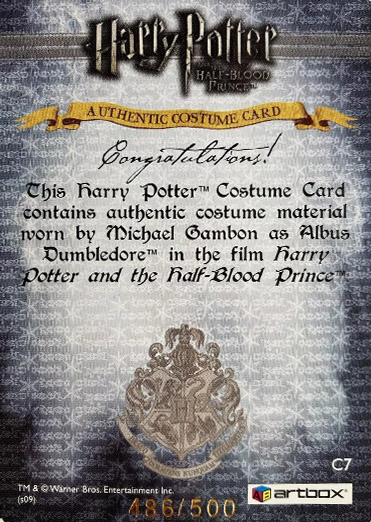 C7 - Albus Dumbledore's Robes - Back