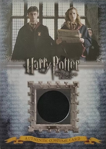 C8 - Gryffindor Students School Robes - Front