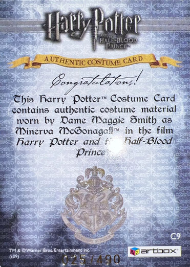 C9 - Minerva McGonagall's Robes - Back