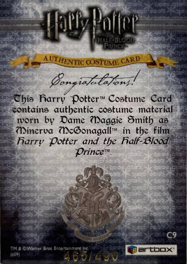 C9 - Minerva McGonagall's Robes - Back