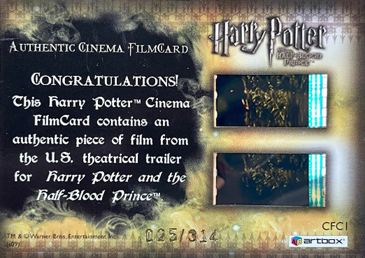 CFC1 - Ginny and Harry - Back