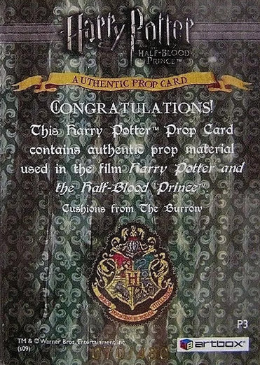 P3 - Cushions from The Burrow - Back