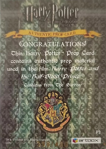 P3 - Cushions from The Burrow - Back