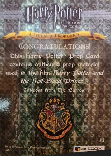 P3 - Cushions from The Burrow - Back