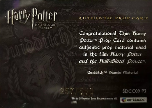 SDCC09 P3 - Slytherin Quidditch Stand Material - Back