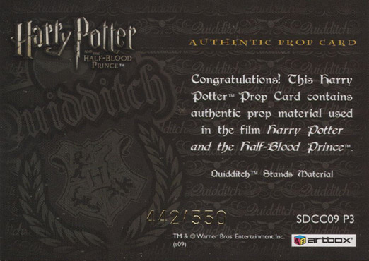 SDCC09 P3 - Slytherin Quidditch Stand Material - Back