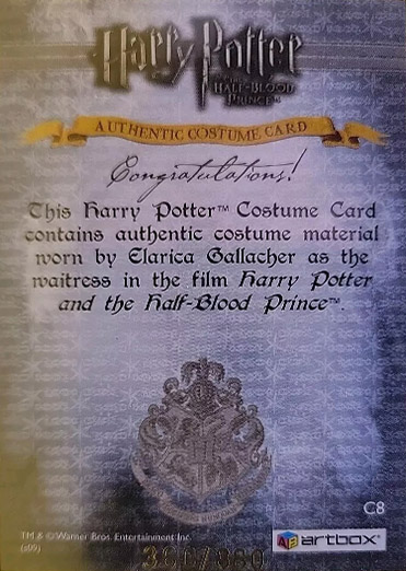 C8 - The Waitress's Dress - Back