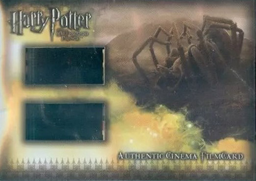 CFC4 - Aragog Belly-Up - Front