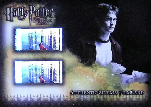 CFC5 - Harry with Papers - Front