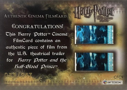 CFC9 - Slughorn in Cap and Gown - Back